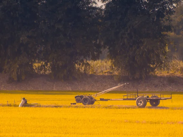 Tractor vintage en field.Yellow fresco brillante tonificado tractores en el campo de cosecha, maquinaria agrícola naturaleza fondo —  Fotos de Stock