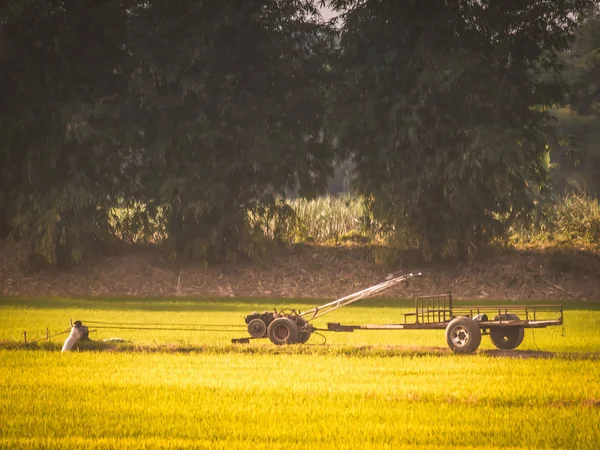 Tractor vintage en field.Yellow fresco brillante tonificado tractores en el campo de cosecha, maquinaria agrícola naturaleza fondo —  Fotos de Stock