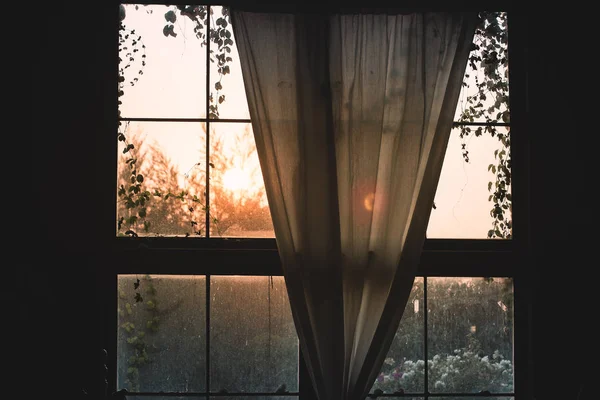 La luz del sol de la mañana se extendió a través de la naturaleza del bosque de la ventana fondo del jardín, concepto de estilo de vida idea.relax.develop emoción — Foto de Stock