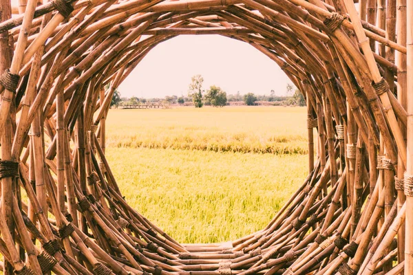 Bambu struktur vävda runda formen materiell natur bakgrund för våg brun material naturliga hantverk väva textur bambu ytan bildramen — Stockfoto