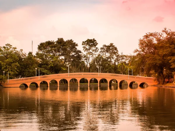 Güzel kırmızı tuğla köprü bir Botanik Bahçe göl su üzerinde yansıtan yaz aylarında sıcak güneş ışığı altında