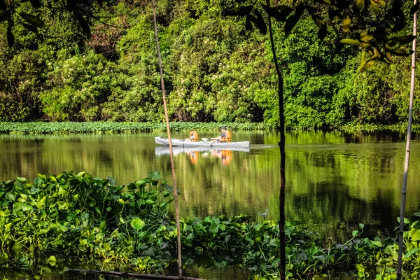 Hermosa naturaleza de bosque y lago .traveling.holiday.concept idea en Asia Ayutthaya Tailandia — Foto de Stock