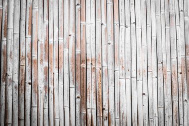 Bambu doku tam olarak dikey düz duvar zemin ışık kuru. Eko doğal arka plan concep