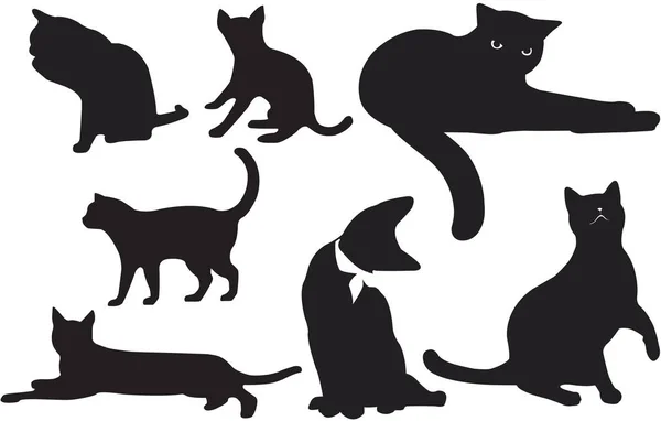 Vektorový obrázek kočka obrys čištění sedí zvědavý chodící akční charakter pevné černé barvy, samostatný bílé pozadí — Stockový vektor