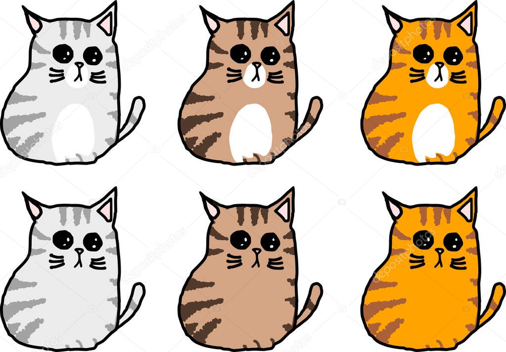 cute tabby cat varies color sitting character isolated white background 