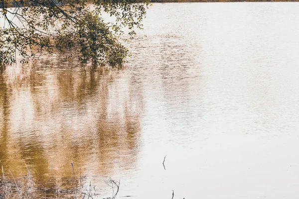 호수, 배경 자연 아이디어에에서 나무의 반영 — 스톡 사진