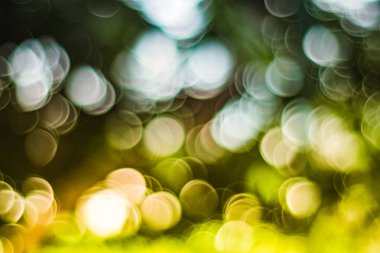 Yeşil Sarı beyaz bokeh arka plan