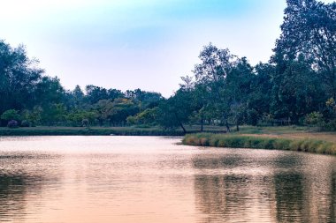 bir gölde, açık gökyüzü ve göl bahar yaz saati arka planda yansıyan ağaçları ile manzara