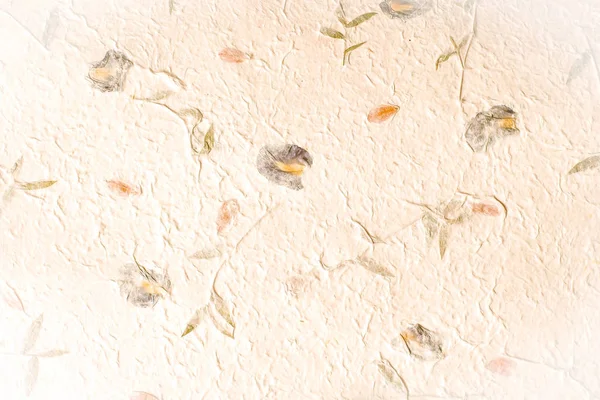 Decorated handmade paper with dry flower and dry leaf — Stock Photo, Image