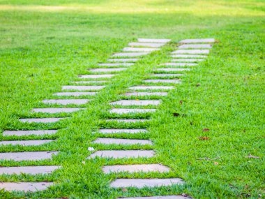 çayır şeridi. çim içinde yol yolu. yaz bahar. yön kavramı arka plan