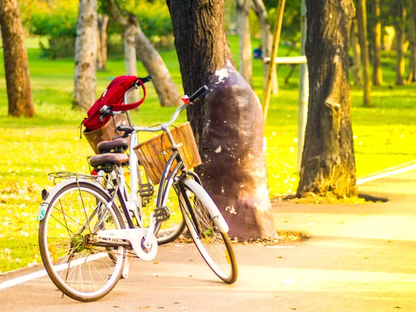 公園の自転車, 夏, 休日, 春, ライフスタイルの背景 — ストック写真