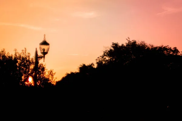 Silouhette d'une lanterne, arbres colorés automne vanille rose ciel en arrière-plan. Paysage aux couleurs vives lors d'un coucher de soleil. tons pastel pendant la saison d'automne beau fond de la nature — Photo