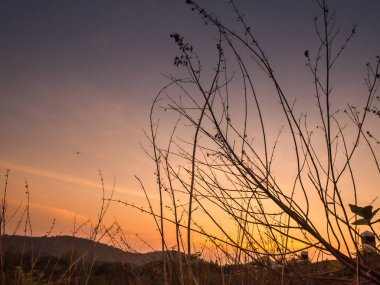 Gün batımında dağların, tepelerin, ormanın siluetleri ile atmosferik manzara 