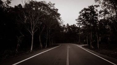 Dağ seyahat yol fikir arka plan dağlar arasında orman yol dönüş lelf