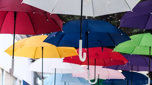 Street decorated with colored umbrellas. Lots of umbrellas coloring the sky in the city