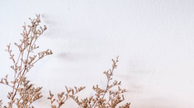 Gün batımı gökyüzü bulut soyut arka plan renkli bokeh güneş ışığı ile Ağaç. Yaz tatili ve doğa seyahat macera konsepti. Vintage ton filtresi etkisi renk stili