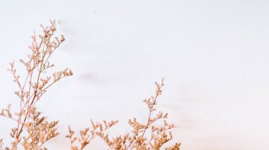 Gün batımı gökyüzü bulut soyut arka plan renkli bokeh güneş ışığı ile Ağaç. Yaz tatili ve doğa seyahat macera konsepti. Vintage ton filtresi etkisi renk stili