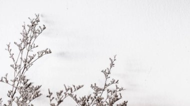 Gün batımı gökyüzü bulut soyut arka plan renkli bokeh güneş ışığı ile Ağaç. Yaz tatili ve doğa seyahat macera konsepti. Vintage ton filtresi etkisi renk stili