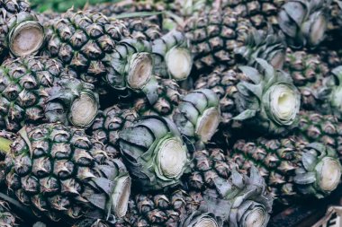 Hawaii ananas arka plan. Yaz meyve fikri