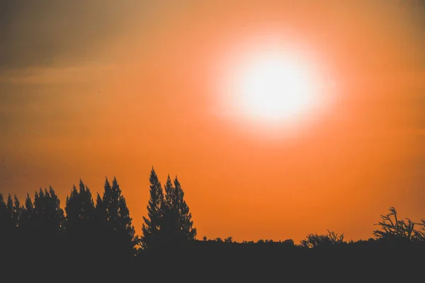 Paisagem Silhueta Árvores Coníferas Fundo Montanhas Céu Colorido Pôr Sol — Fotografia de Stock