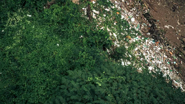 Danos Ambientais Lixo Natureza Lixo Nevoeiro Floresta Lixo Margem Rio — Fotografia de Stock