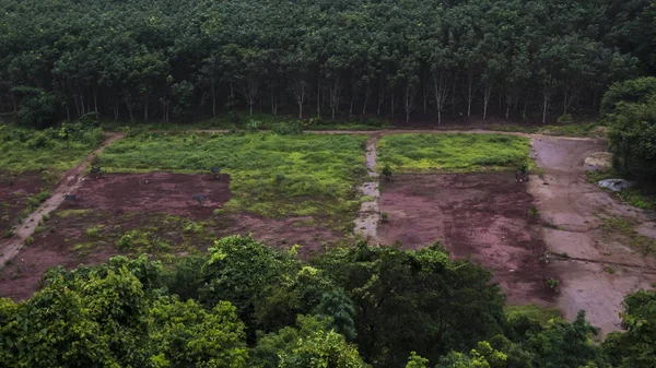 Deforestation: Scarred earth where tropical rain forest has been destroyed by human development