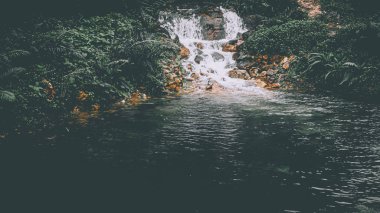 Sabah sisi şelalenin üzerinde yükselir canlı yeşil bir doğa manzarasıyla çevrilidir.