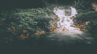 Sabah sisi şelalenin üzerinde yükselir canlı yeşil bir doğa manzarasıyla çevrilidir.