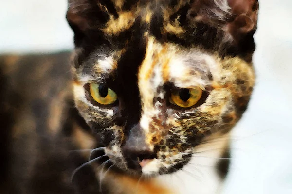 watercolor painting Closeup of tabby cat face.  muzzle half black half red,
