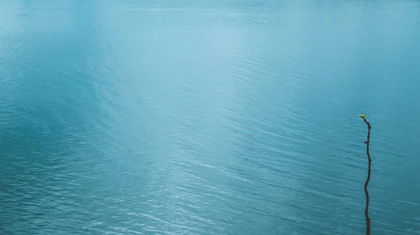 Λίμνη Και Αντανάκλαση Στην Επιφάνεια Του Νερού Κουνώντας Κίνηση Υφή — Φωτογραφία Αρχείου