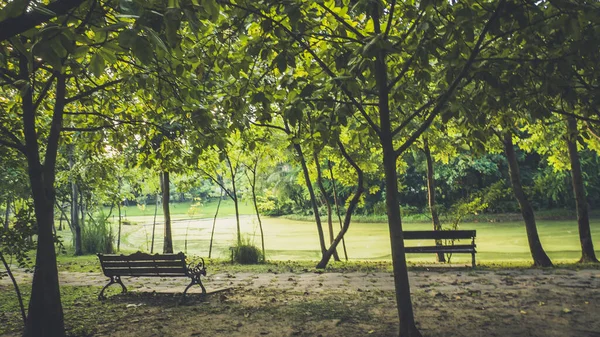 Fondo Del Parque Ciudad Primavera Con Árboles Arbustos Bench Island — Foto de Stock