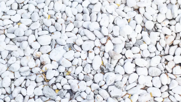 Beyaz Çakıl Taşı Dokusu Arkaplanı — Stok fotoğraf
