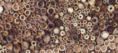 Arka plan için bambu ahşap bölüm kesimi ve tasarımı .dekorasyon için doğal konsept .eco materyal stili. Dünyayı kurtar. Çevre fikrini koru