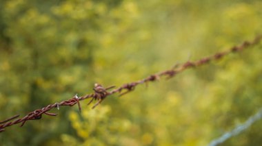 Seçici odaklı dikenli tel, paslı tel tel tel tel, stok imajı. Çit görüntüsü, tehlike, galvanizasyon. Ülke çiti.