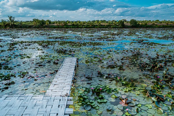 Panoráma Nézet Bambusz Híd Felett Piros Lotus Ellen Kék Nyáron — Stock Fotó