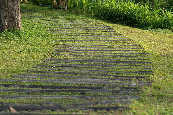 Diseño Paisaje Decoración Camino Pavimentador Curvado Pasarela Través Del Jardín — Foto de Stock