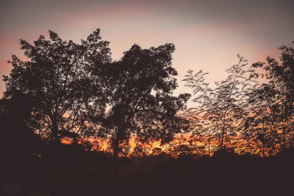 Bunte Dramatic Sky Forest Silhouette Sonnenuntergang Ein Dramatischer Orangerot Gelber — Stockfoto