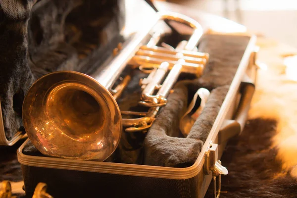 Siyah Kürklü Eski Altın Trompet Kutudaki Güzel Saksafon Aracını Kapat.