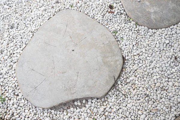 GARDEN STONE PATH. Dry leaf texture on white stone for footpath in rock garden hardscape.