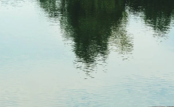 Schatten Des Baumes Reflektieren Teichwasser Für Natürlichen Hintergrund — Stockfoto