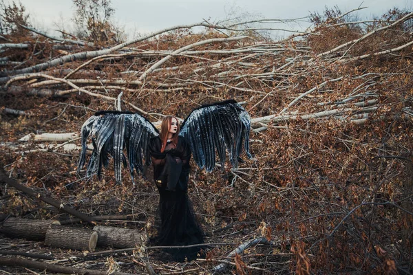 Hada Con Alas Negras — Foto de Stock