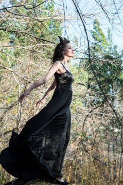 Ücretsiz dragon Güz