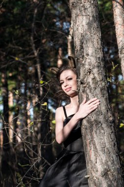 Ücretsiz dragon Güz