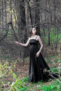 Ücretsiz dragon Güz