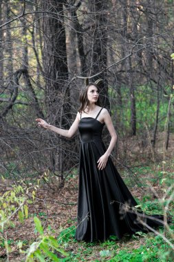 Ücretsiz dragon Güz