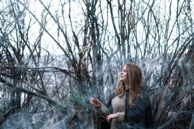 bir kış ormanda cadı