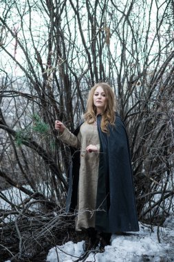 bir kış ormanda cadı