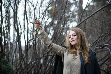 bir kış ormanda cadı