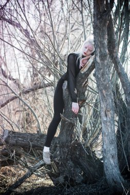 Peri bahar ağaçları arasında