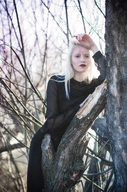 Peri bahar ağaçları arasında